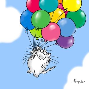 Meet your Posher, Susan